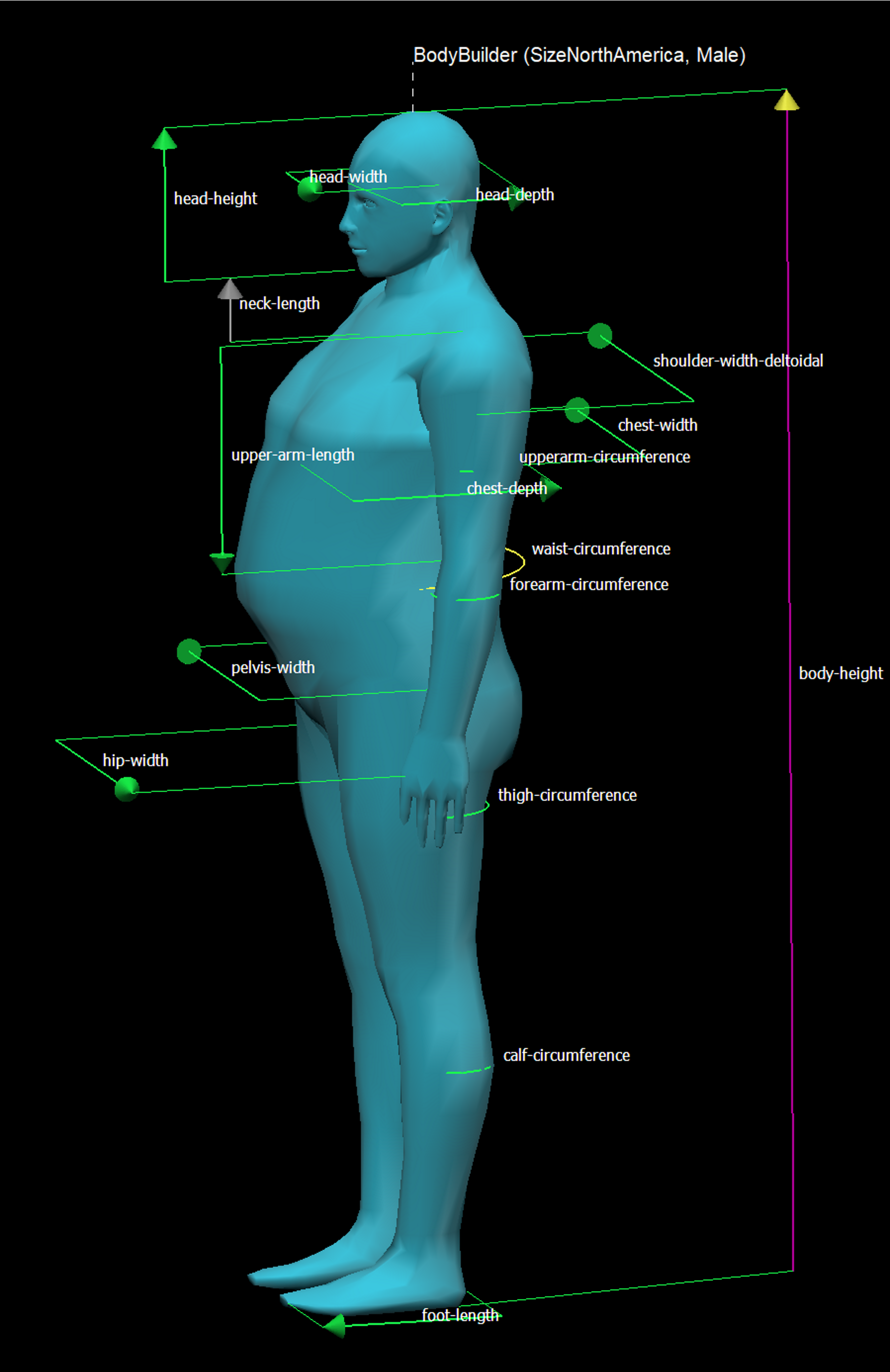 Size North America anthropometry - 95th percentile large male<br>(2023)